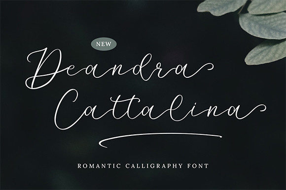 Deandra Cattalina: A Script Font for Campaigns
