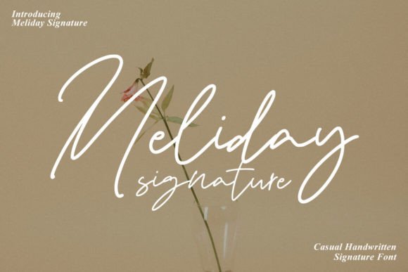Meliday Signature: A Campaign-Ready Script Font