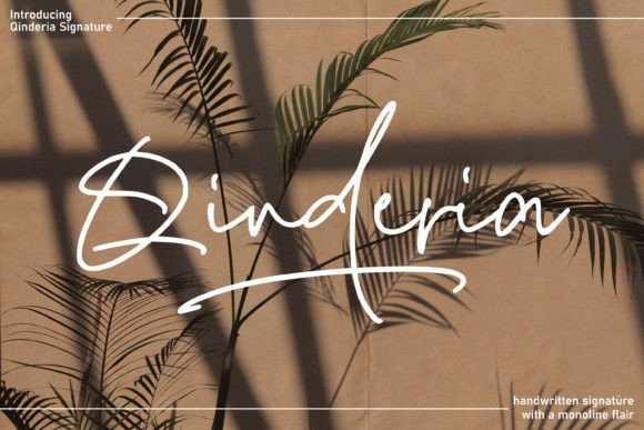 Qinderia Signature: A Versatile Handwritten Font for Campaigns