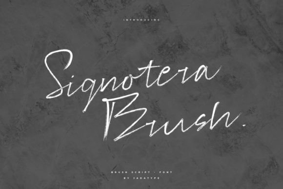 Signotera Brush: A Designer’s Honest Review